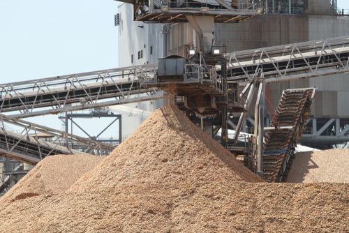 Pulp Mill On Georgia Coast